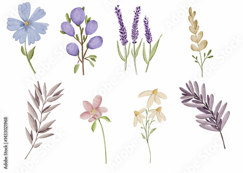Fototapeta Naklejka Na Ścianę i Meble -  watercolor vector floral set with leaves and flowers. Elements for your compositions, greeting cards or wedding invitations. 