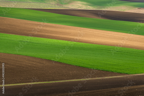 Obraz na płótnie Green rolling fields in Czechia Moravia at spring w salonie