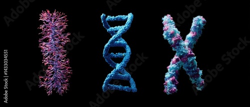 DNA chromosome forensic concept DNA strands represented in a creative visual format.