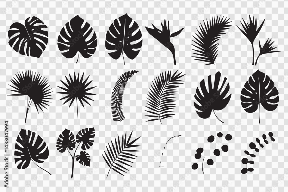 Tropical Leaf Silhouette Collection - Exotic Palm and Monstera Leaves Tropical Leaf Silhouette Collection - Exotic Palm and Monstera Leaves