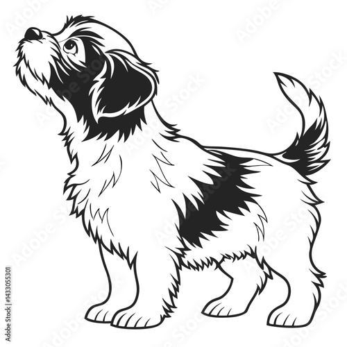 Black and White of Puppy Looking Up Furry Friend Cute Animal
