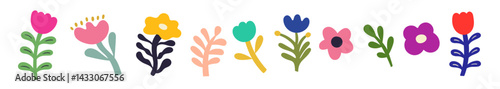 Beautiful modern flower collection