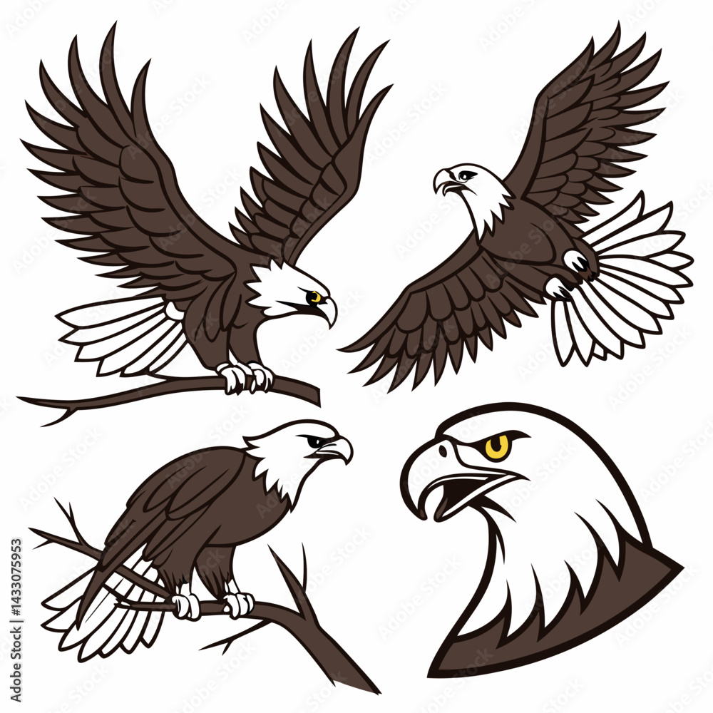 Fototapeta premium Bald Eagle Illustrations: 4 Poses, Vector, Brown & White.