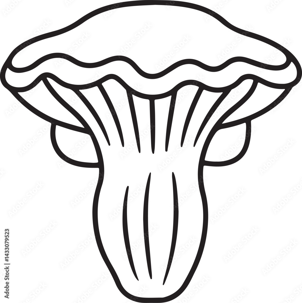 Fototapeta premium king oyster mushroom line art, black outline, vector and illustration, coloring book page line art drawing