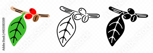 Coffee branch with ripe cherries, beans and leaves, graphic design. Drinking, coffee plant, nature and agriculture, vector design and illustration