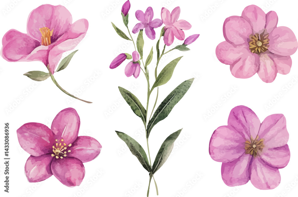 Obraz premium set of pink flowers