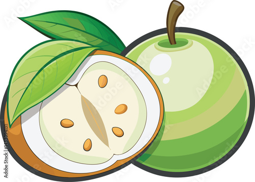 A vibrant vector art illustration of delicious white sapote fruit, showcasing its creamy texture, green skin, and tropical appeal in detail.