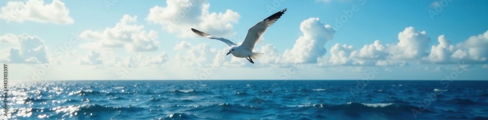 Seagull soaring over vast ocean, nature, blue, waves Seagull soaring over vast ocean, nature, blue, waves