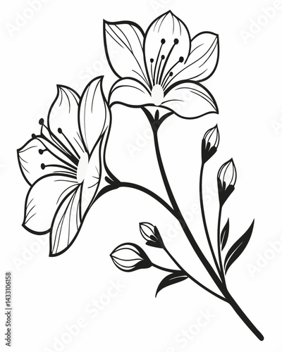 This design features clean outlines, soft curves, and a modern aesthetic, making it ideal for tattoos, logos, stationery, fabric prints, or digital design. 