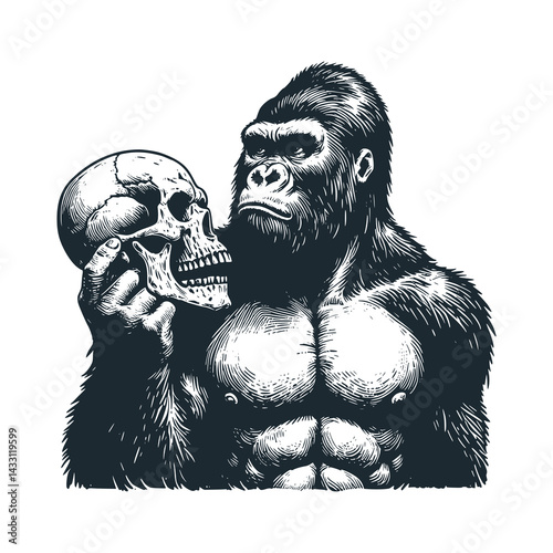Gorilla Holding a Human Skull: A Primate's Contemplation – Black and White Icon Vector and Illustration