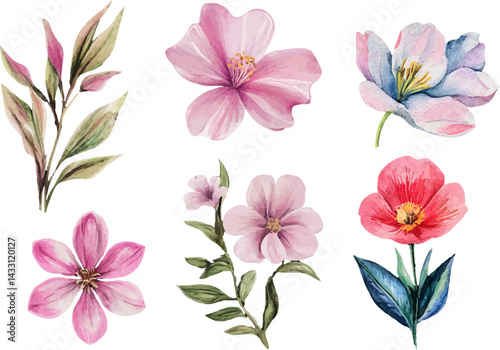 set of pink flowers