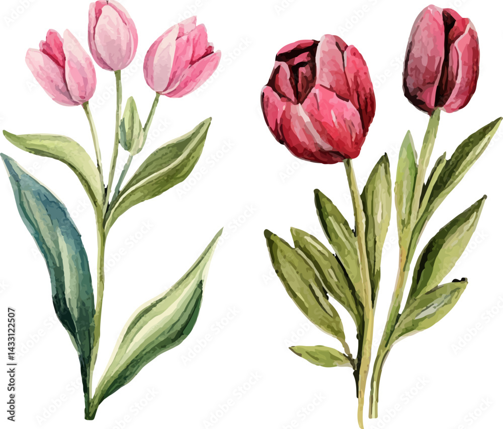 Fototapeta premium bouquet of pink tulips