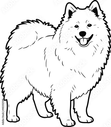 American Eskimo Dog silhouette Illustration Vector ArtWork font face view