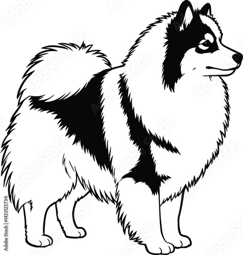 American Eskimo Dog silhouette Illustration Vector ArtWork side face view