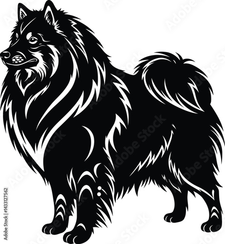 American Eskimo Dog silhouette Illustration Vector