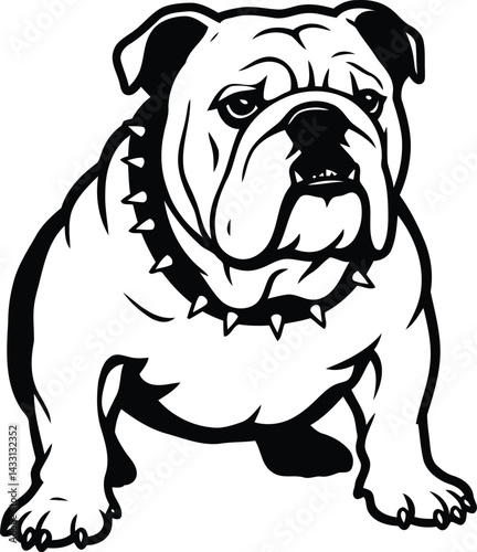 Bulldog silhouette Illustration Vector ArtWork With Belt