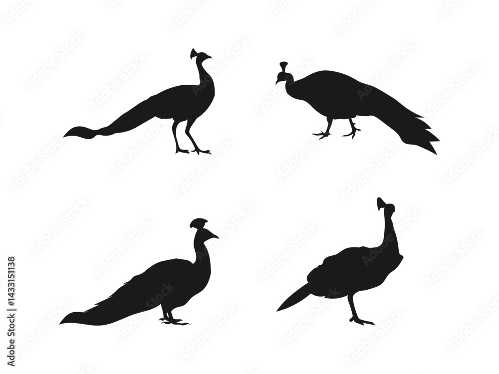 Obraz premium Black and white silhouette peacock vector illustration. peacock standing and walking in different positions, silhouette set vector. vector on a white background.