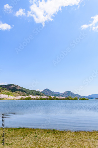 Wallpaper Mural 蔵王山麓 七ヶ宿ダム公園　春
 Torontodigital.ca