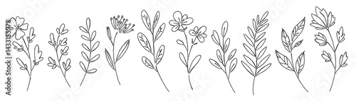 花と草と葉の白黒の線画ベクターイラスト 一輪の花/シンプルでおしゃれな手書きのラインアート	