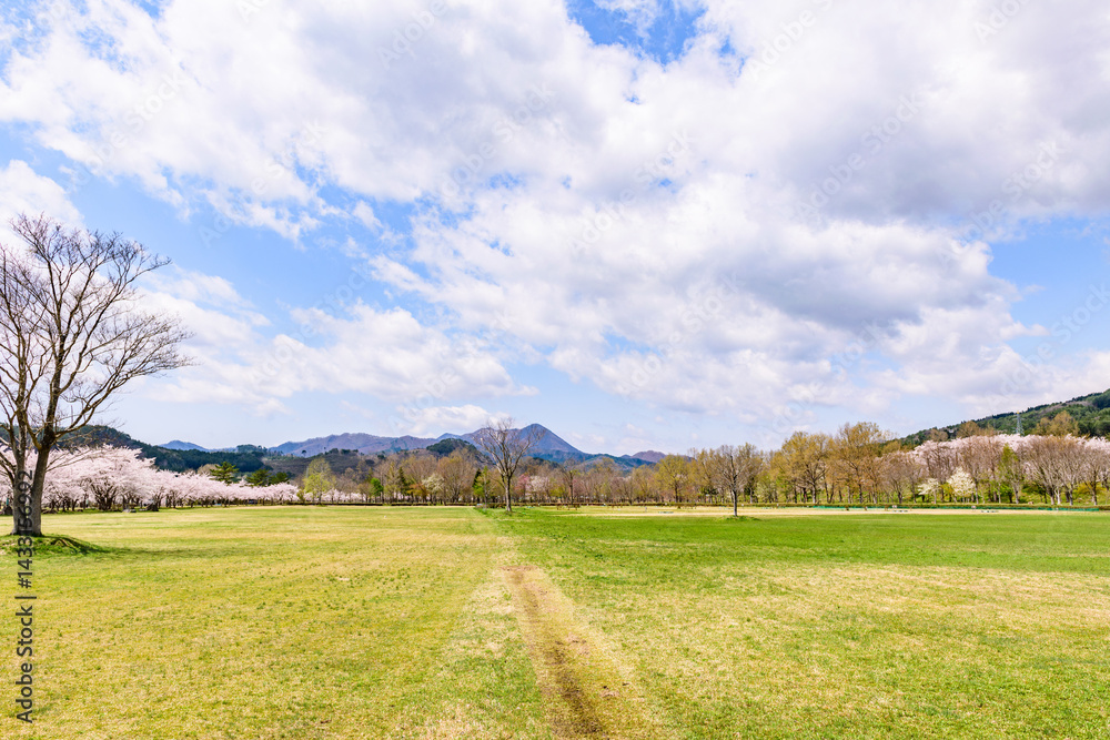 Fototapeta premium 蔵王山麓 七ヶ宿ダム公園 春 