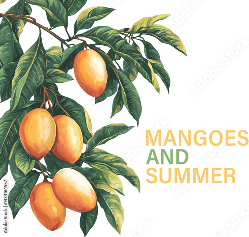 mangoes summer season