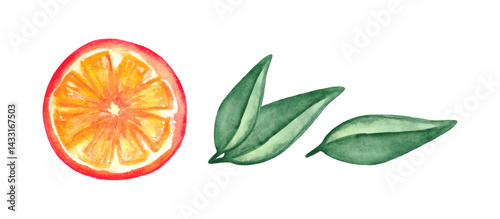 Obraz na płótnie Watercolor orange circle isolated on white background. Summer fruit design element. w salonie