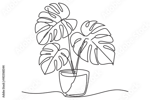 Minimalist Line Art Monstera Plant in a Glass Pot
