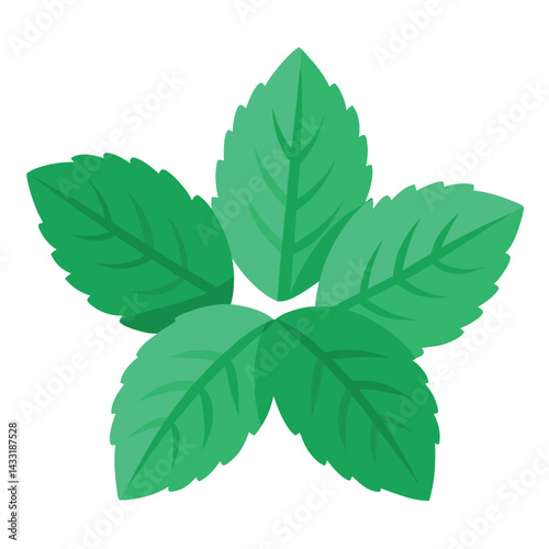mint leaves isolated on white