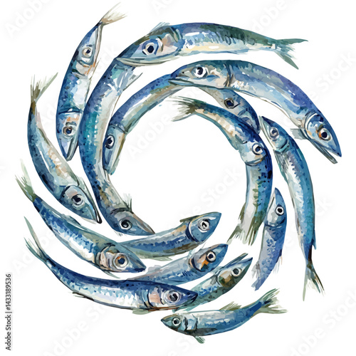 School Of Sardines Forming A Spiral, watercolor vector, isolated on a white background.