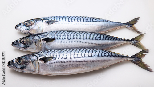 fresh mackerel fish on the white background