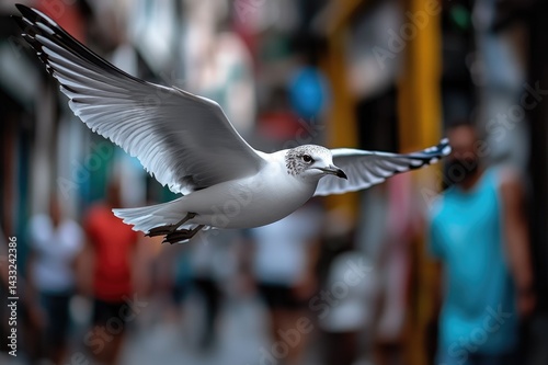 Obraz na płótnie Seagull flying over blurred street with open wings w salonie