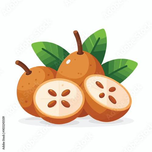 delicious, background, fresh, brown, natural, food, diet, fruit, sapodilla, sweet, healthy, organic, nutrition, closeup, health, juicy, ripe, agriculture, tasty, asian, asia, nature, vegetarian, vitam