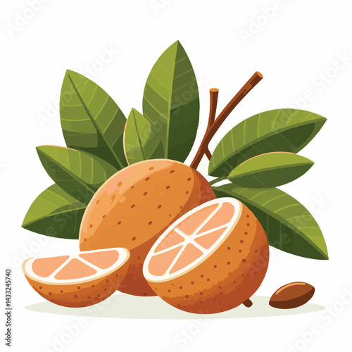 delicious, background, fresh, brown, natural, food, diet, fruit, sapodilla, sweet, healthy, organic, nutrition, closeup, health, juicy, ripe, agriculture, tasty, asian, asia, nature, vegetarian, vitam