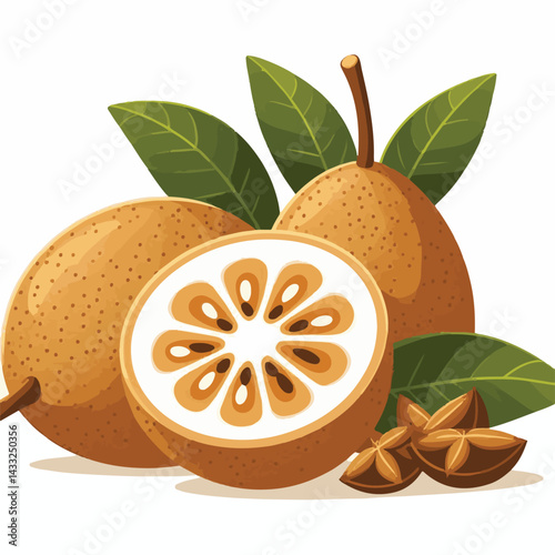 delicious, background, fresh, brown, natural, food, diet, fruit, sapodilla, sweet, healthy, organic, nutrition, closeup, health, juicy, ripe, agriculture, tasty, asian, asia, nature, vegetarian, vitam