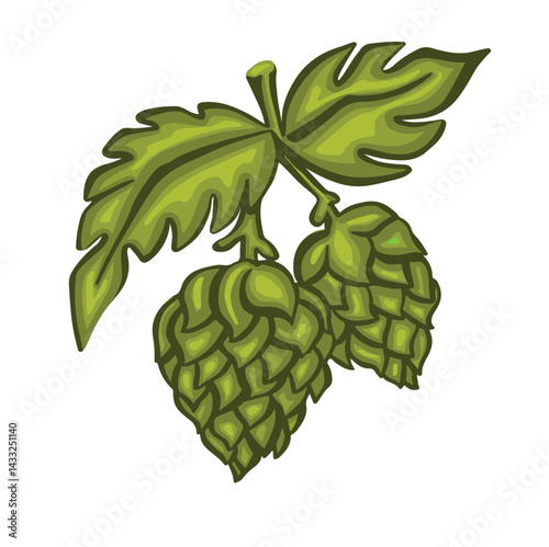 Green hops, hand drawn illustration