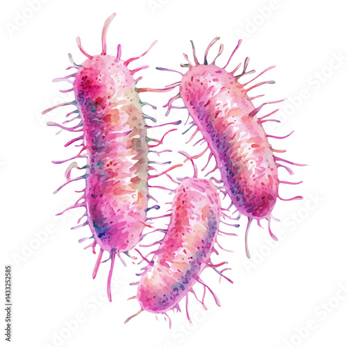 watercolor of Pathogenic E. Coli Strain, isolated on a white background.