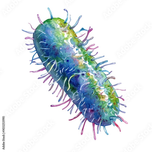 watercolor of Pathogenic E. Coli Strain, vector, isolated on a white background.