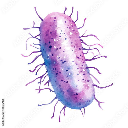 Pathogenic E. Coli Strain, watercolor vector, isolated on a white background.