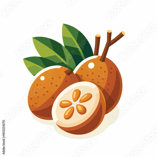 delicious, background, fresh, brown, natural, food, diet, fruit, sapodilla, sweet, healthy, organic, nutrition, closeup, health, juicy, ripe, agriculture, tasty, asian, asia, nature, vegetarian, vitam