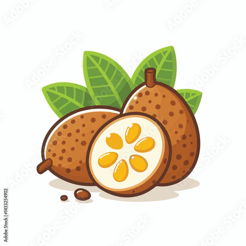 delicious, background, fresh, brown, natural, food, diet, fruit, sapodilla, sweet, healthy, organic, nutrition, closeup, health, juicy, ripe, agriculture, tasty, asian, asia, nature, vegetarian, vitam