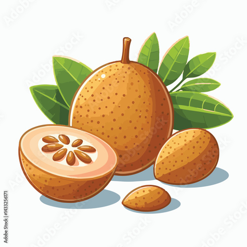 delicious, background, fresh, brown, natural, food, diet, fruit, sapodilla, sweet, healthy, organic, nutrition, closeup, health, juicy, ripe, agriculture, tasty, asian, asia, nature, vegetarian, vitam