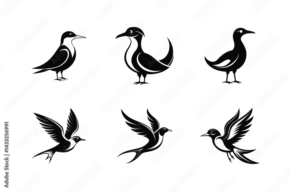 Obraz premium Inca Tern bird, silhouette vector illustration