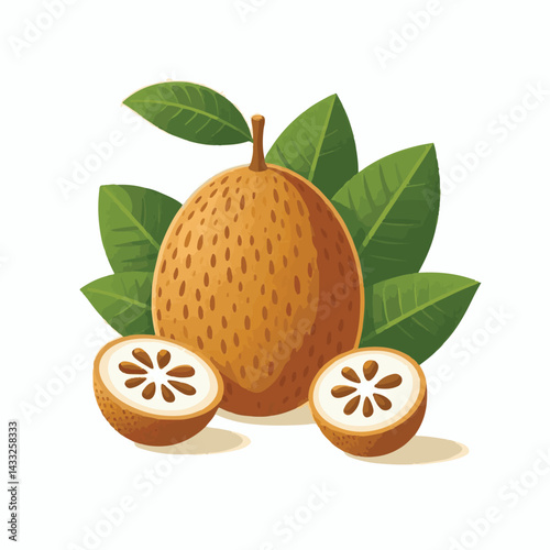 delicious, background, fresh, brown, natural, food, diet, fruit, sapodilla, sweet, healthy, organic, nutrition, closeup, health, juicy, ripe, agriculture, tasty, asian, asia, nature, vegetarian, vitam