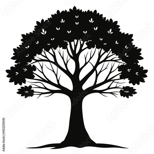 Adobe Illustrator Artwork