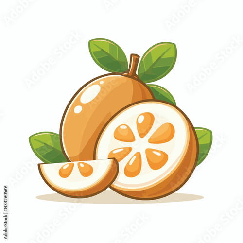delicious, background, fresh, brown, natural, food, diet, fruit, sapodilla, sweet, healthy, organic, nutrition, closeup, health, juicy, ripe, agriculture, tasty, asian, asia, nature, vegetarian, vitam