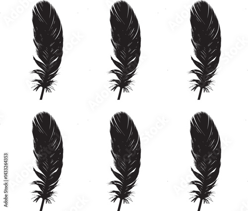 Premium vector. Set of silhouette feathers vector illustration.