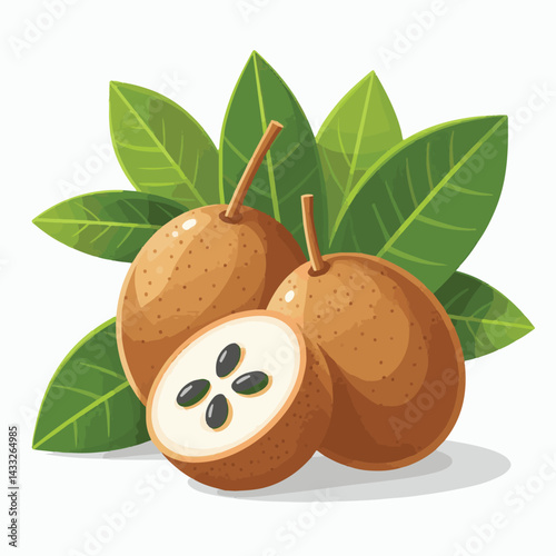 delicious, background, fresh, brown, natural, food, diet, fruit, sapodilla, sweet, healthy, organic, nutrition, closeup, health, juicy, ripe, agriculture, tasty, asian, asia, nature, vegetarian, vitam