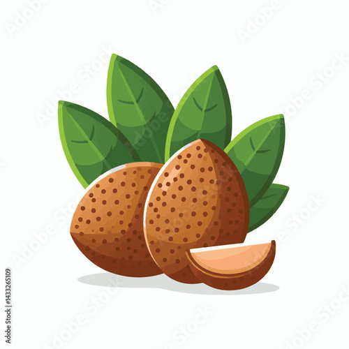 delicious, background, fresh, brown, natural, food, diet, fruit, sapodilla, sweet, healthy, organic, nutrition, closeup, health, juicy, ripe, agriculture, tasty, asian, asia, nature, vegetarian, vitam