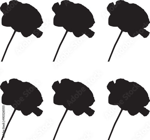Premium vector. Silhouette vector flowers on white background. 