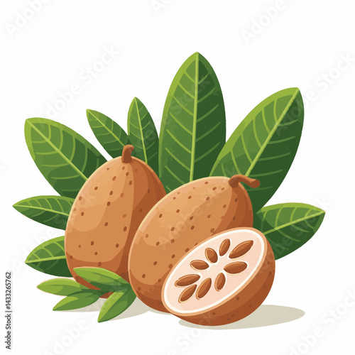 delicious, background, fresh, brown, natural, food, diet, fruit, sapodilla, sweet, healthy, organic, nutrition, closeup, health, juicy, ripe, agriculture, tasty, asian, asia, nature, vegetarian, vitam